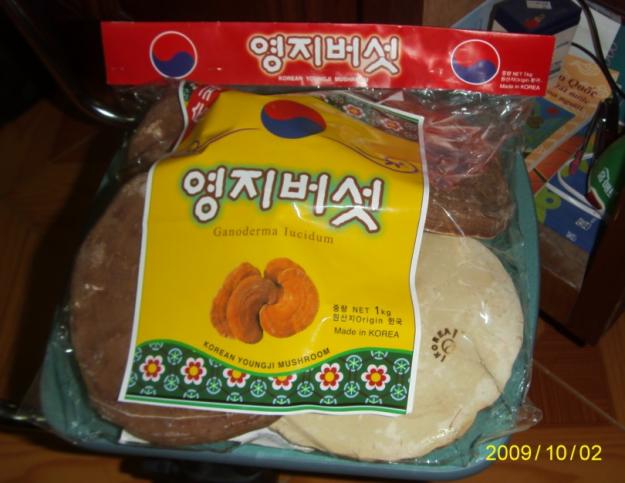 Nấm linh chi vàng Hàn Quốc hàng nội địa